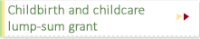 Childbirth and childcare lump-sum grant